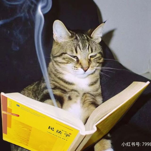 常委头像